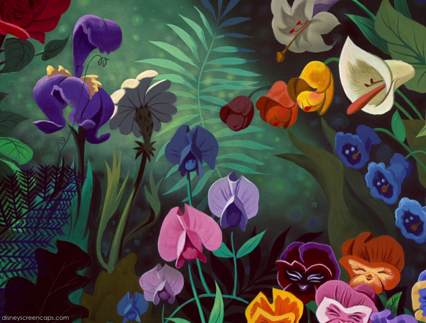 Alice In Wonderland Cartoon Background