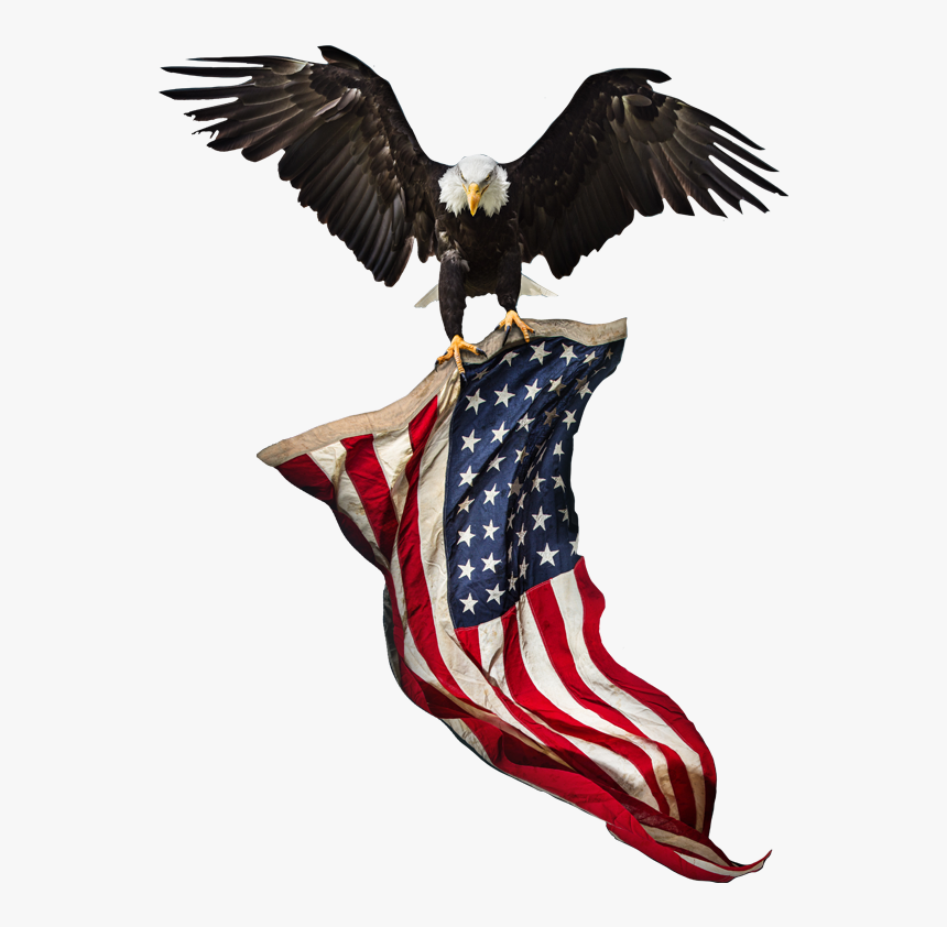 American Flag And Eagle Background