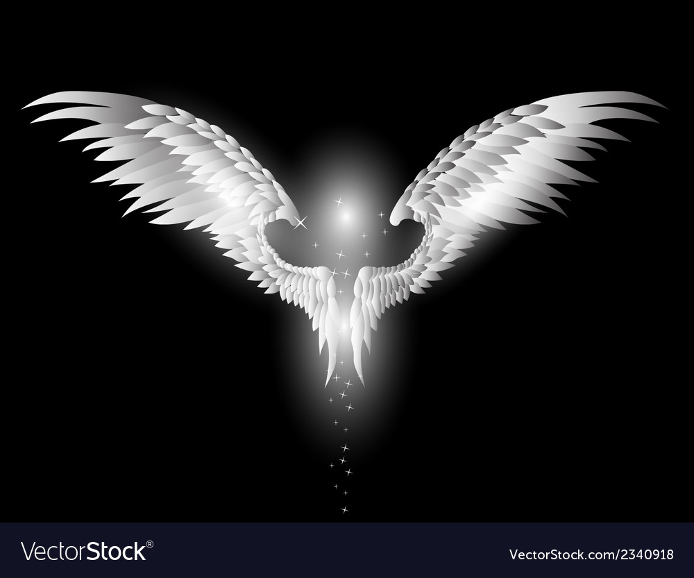 Angel Wings Black Background