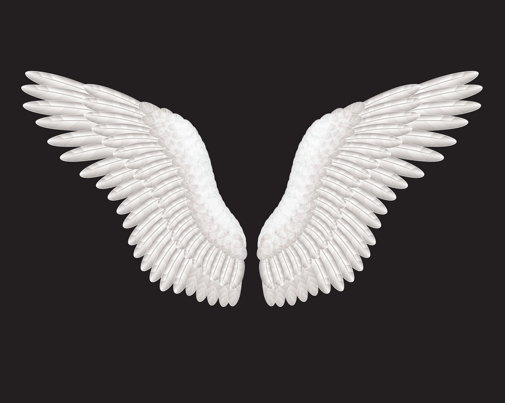 Angel Wings Black Background