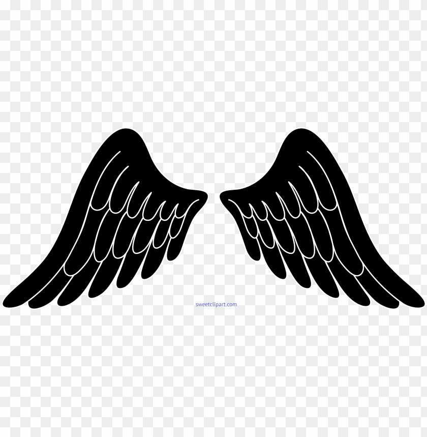 Angel Wings Black Background