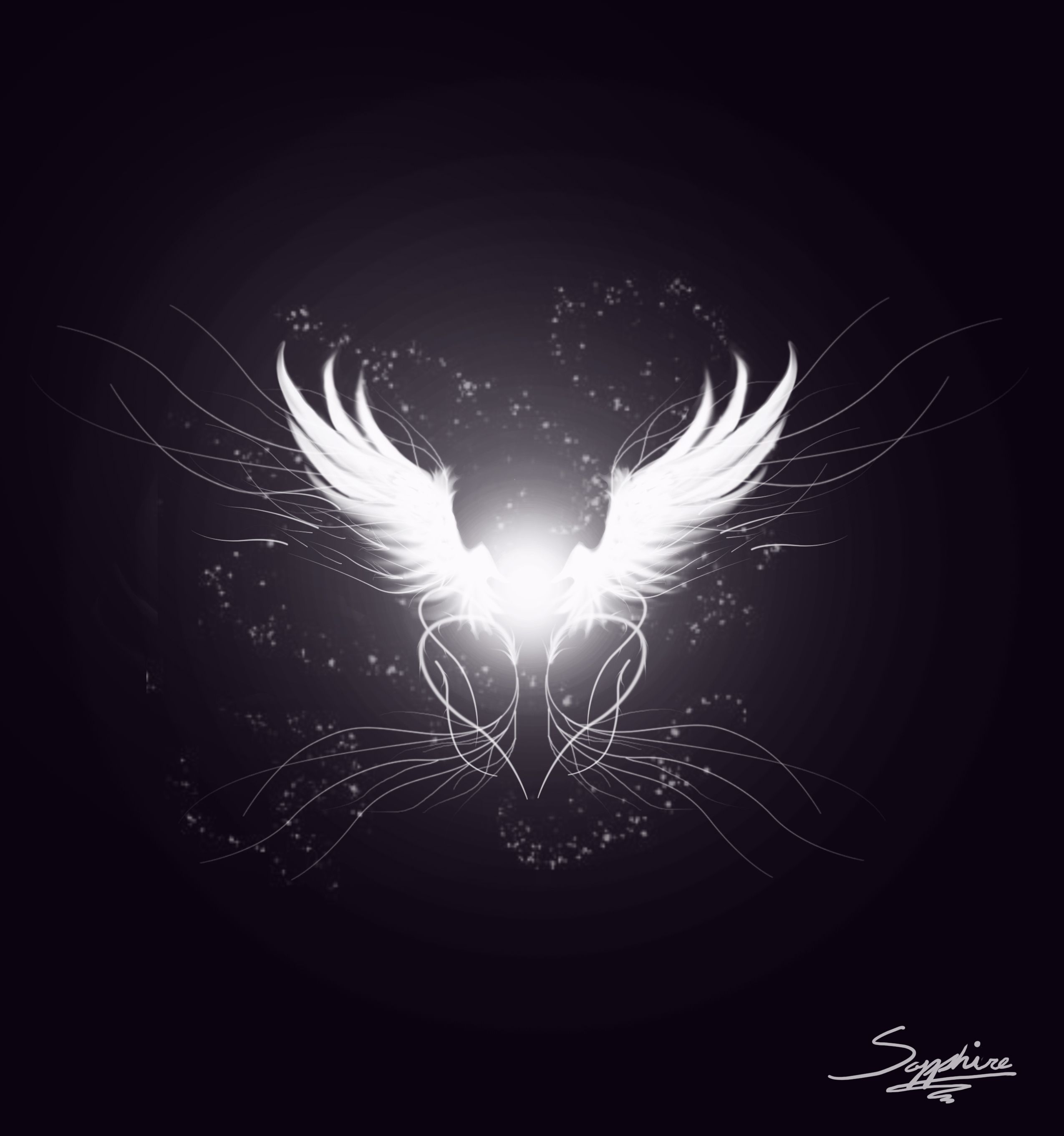 Angel Wings Black Background