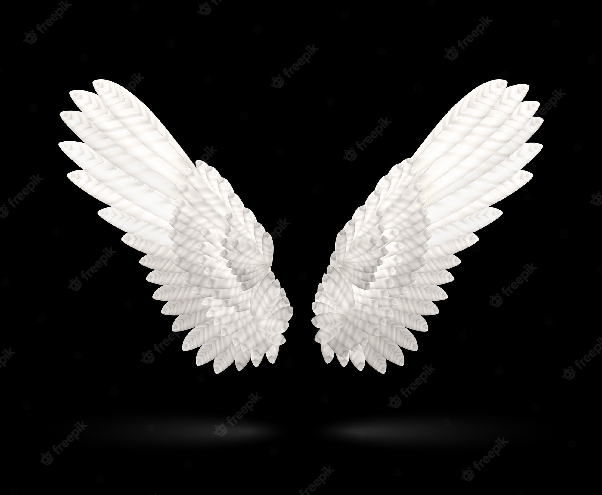 Angel Wings Black Background