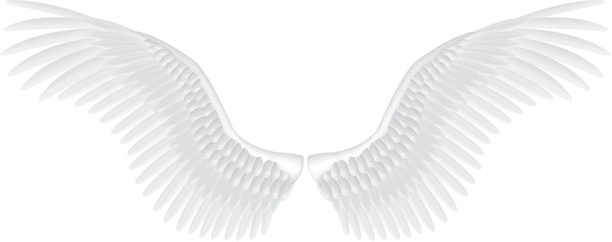 Angel Wings Black Background