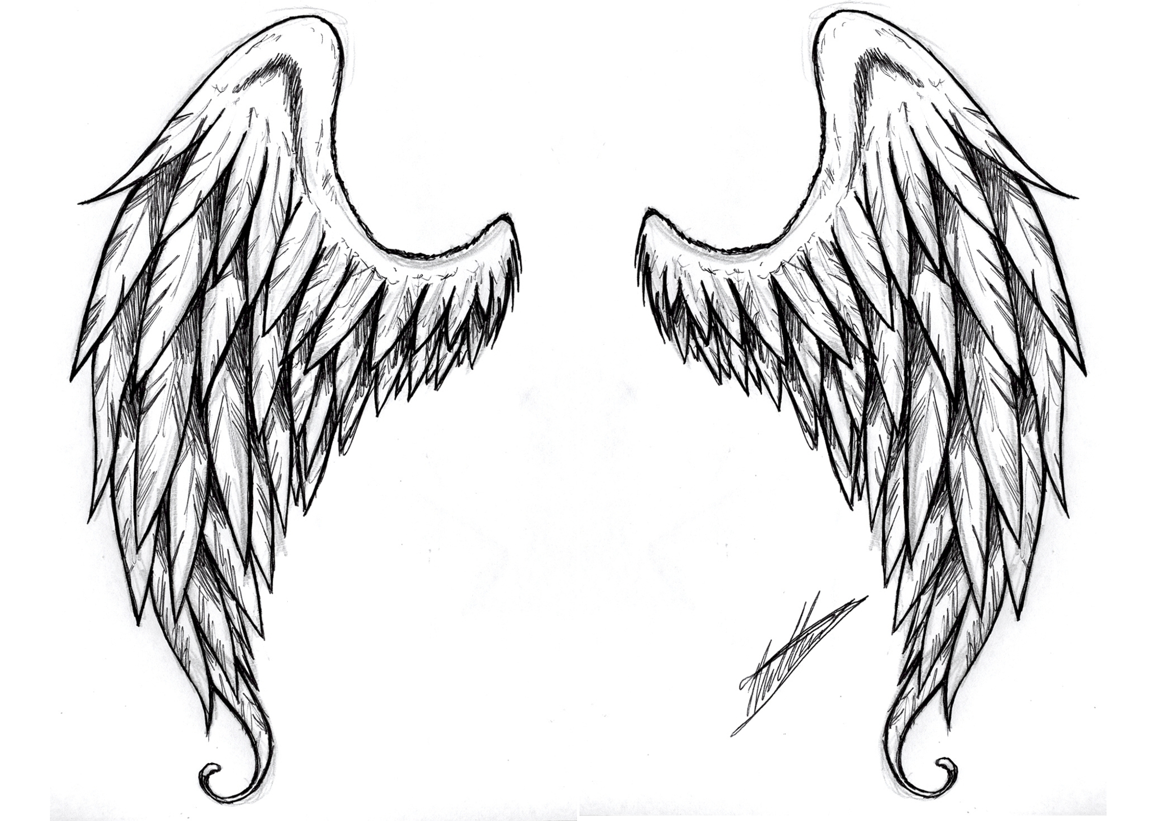 Angel Wings Black Background