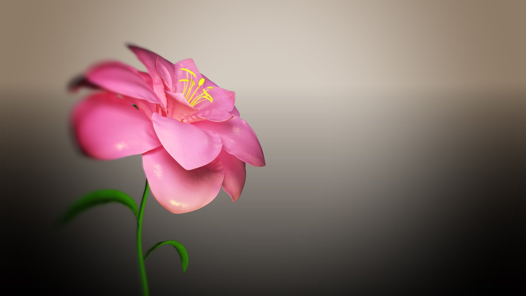 Animated Flower Background