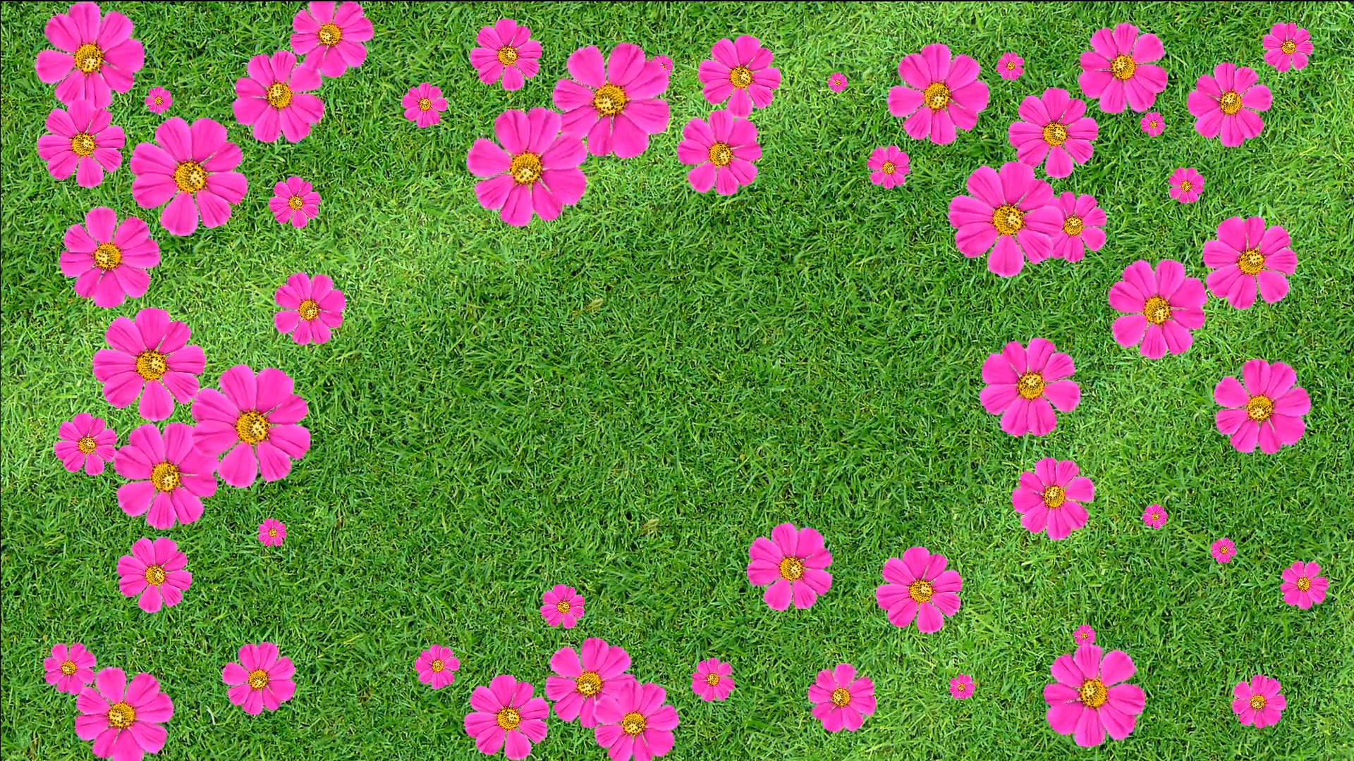 Animated Flower Background