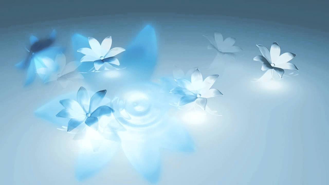 Animated Flower Background