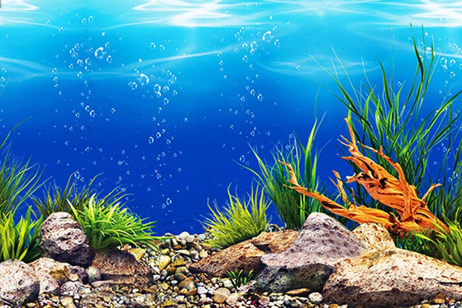 Aquarium Backgrounds