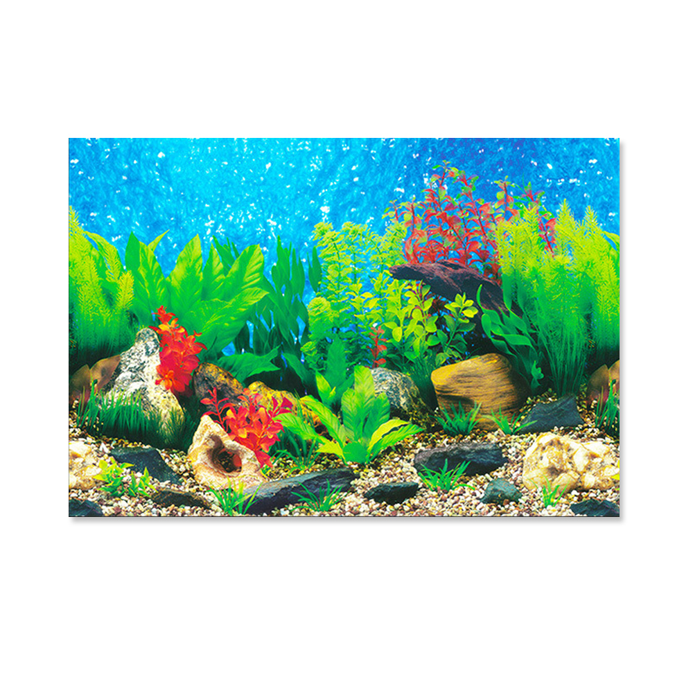 Aquarium Backgrounds