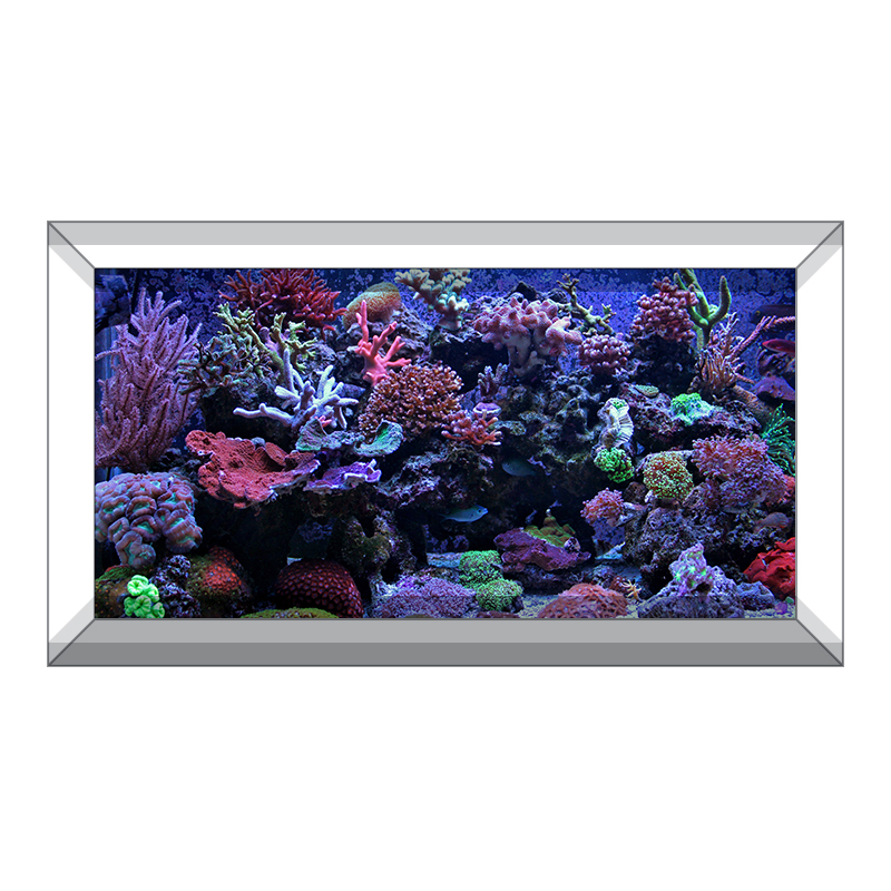 Aquarium Backgrounds