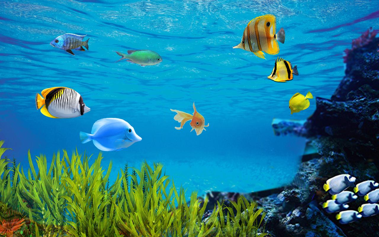 Aquarium Desktop Background