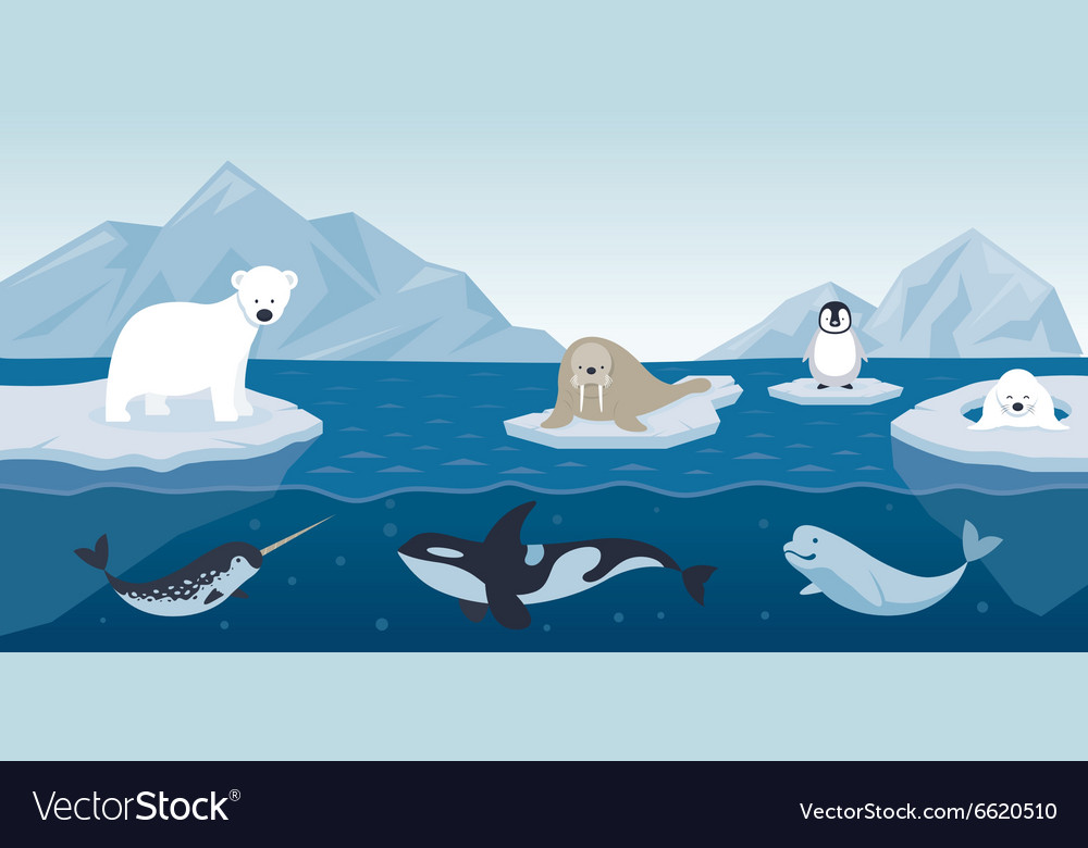 Arctic Backgrounds