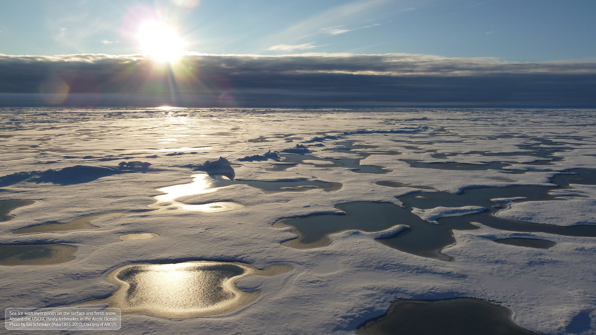 Arctic Backgrounds