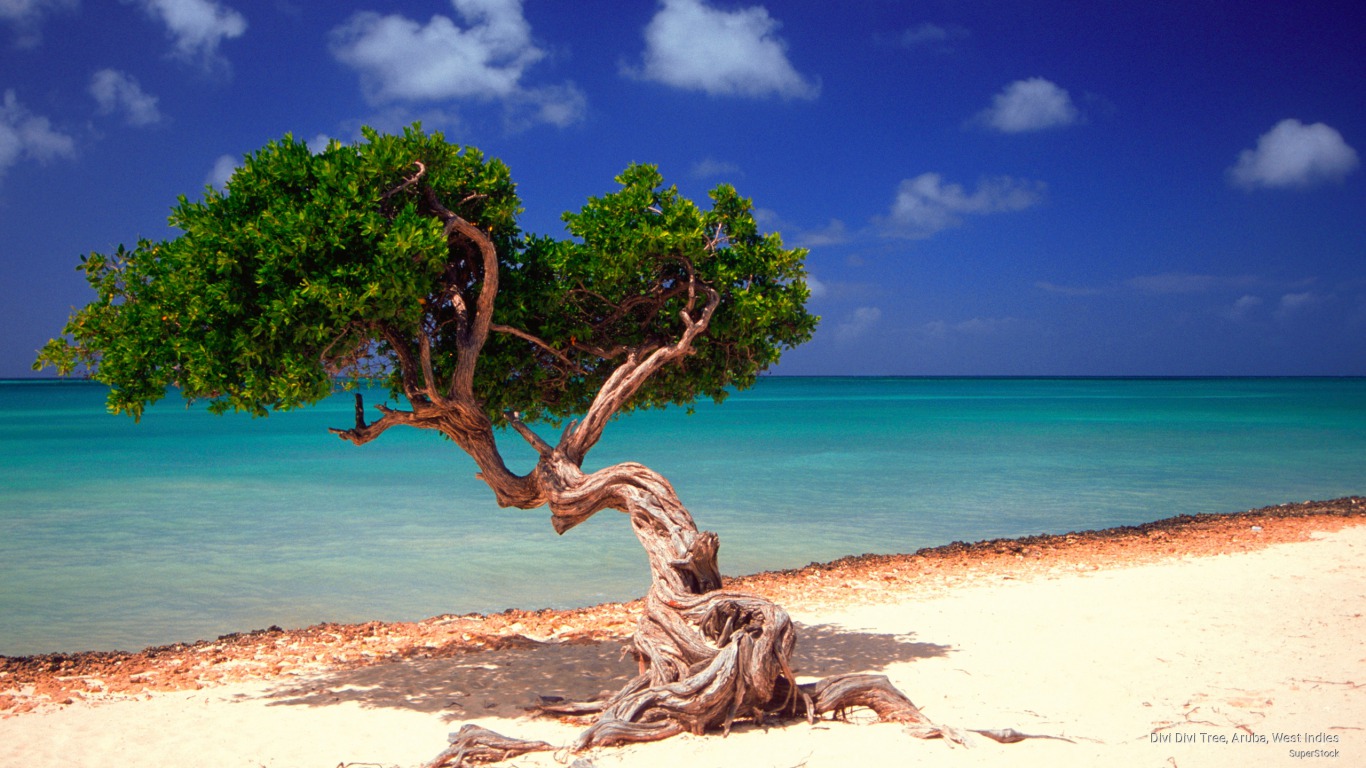 Aruba Background