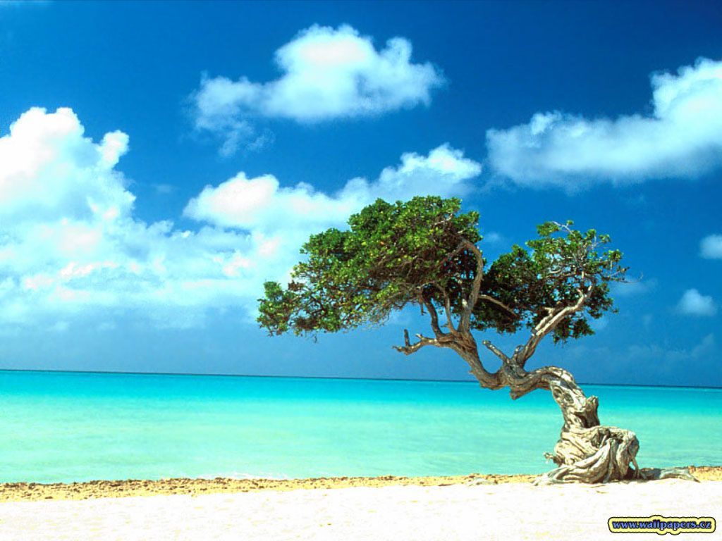 Aruba Background