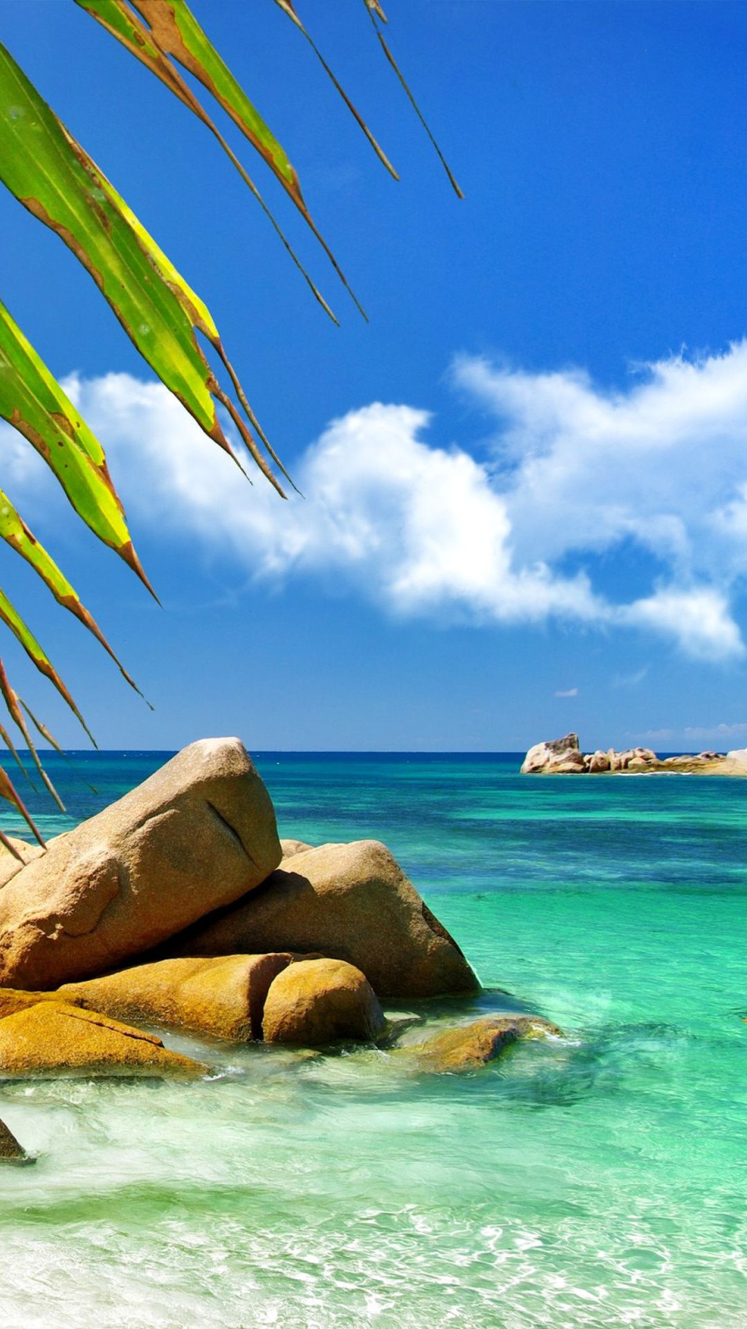 Aruba Background