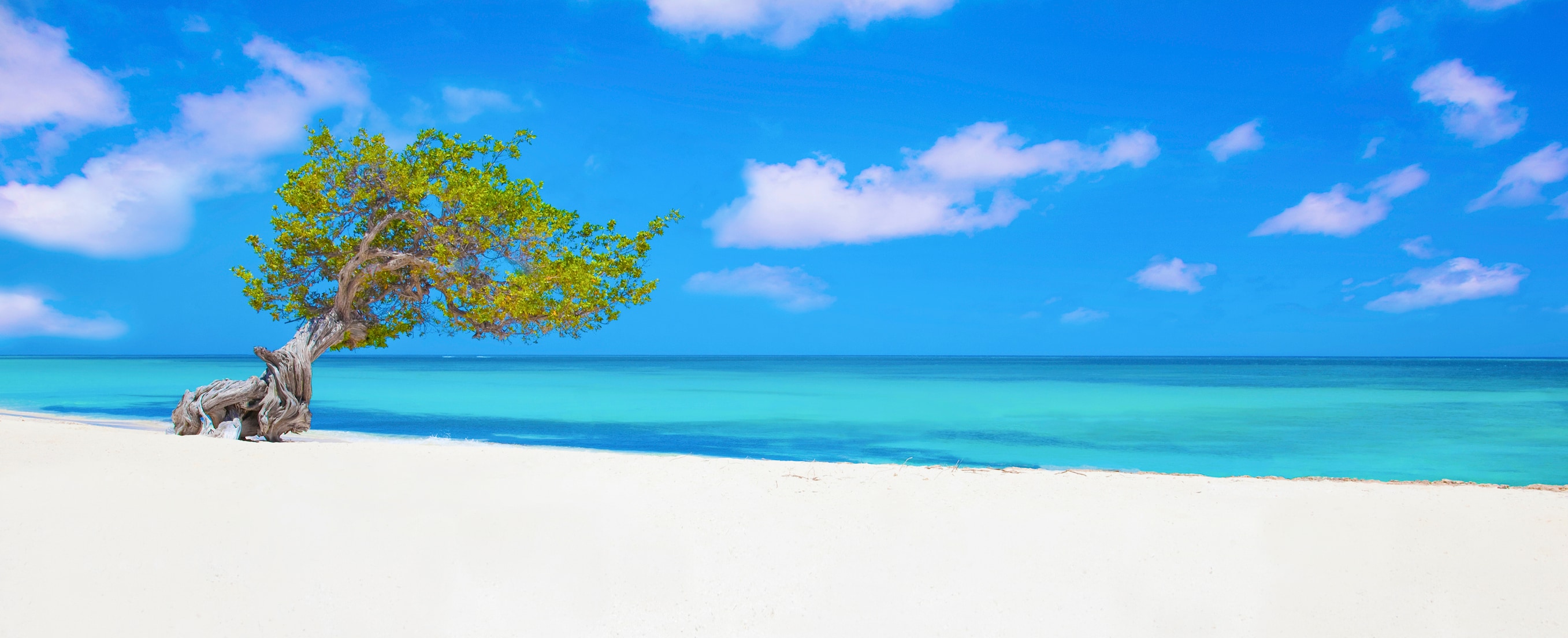 Aruba Background