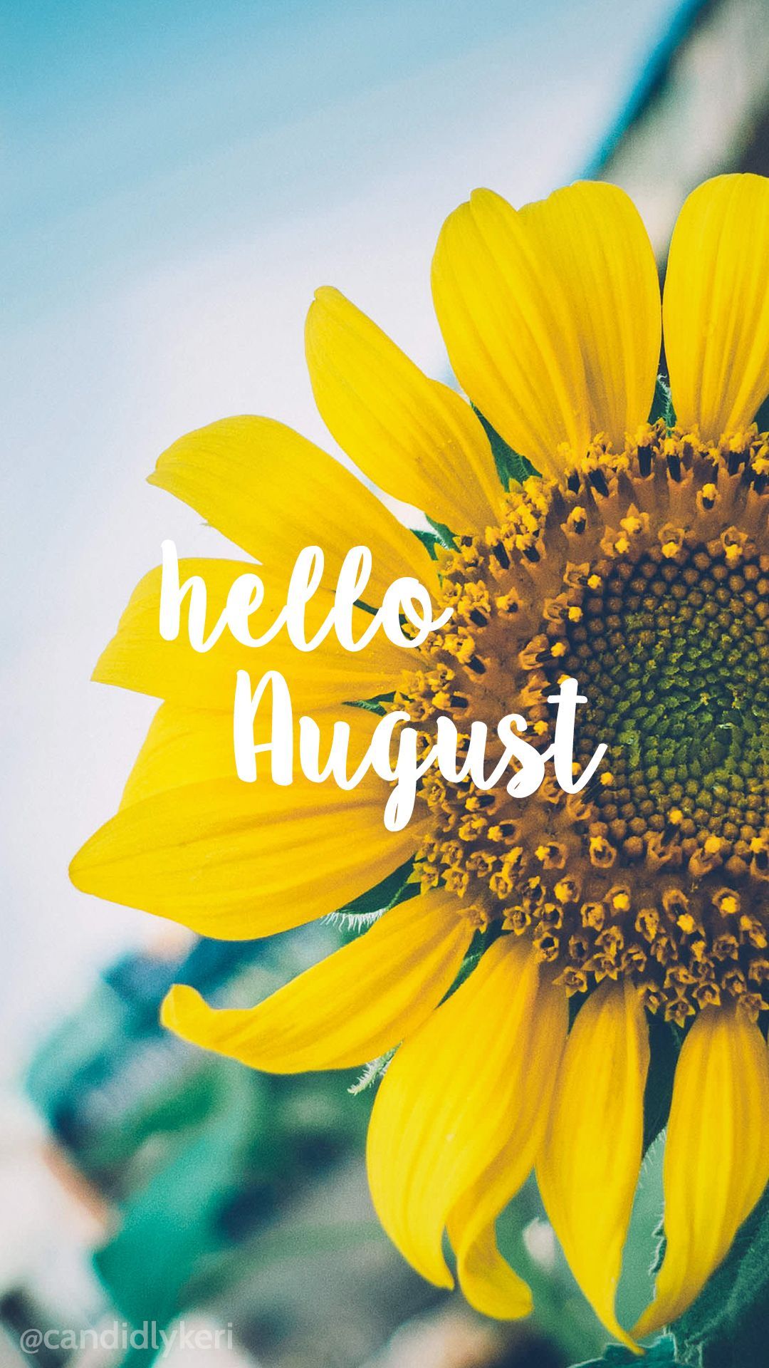 August Background