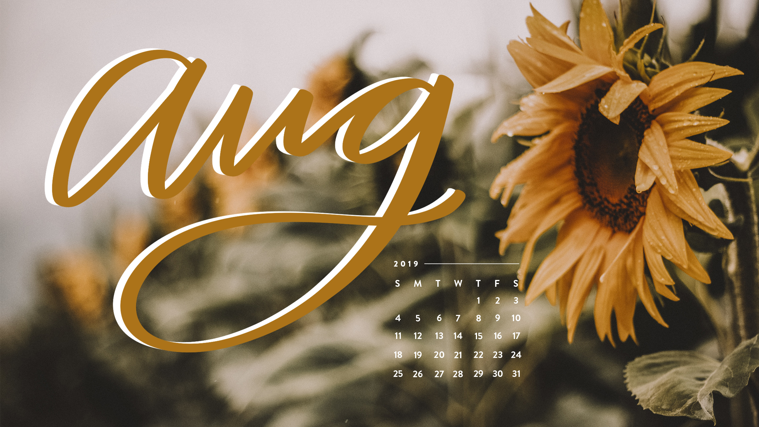 August Background