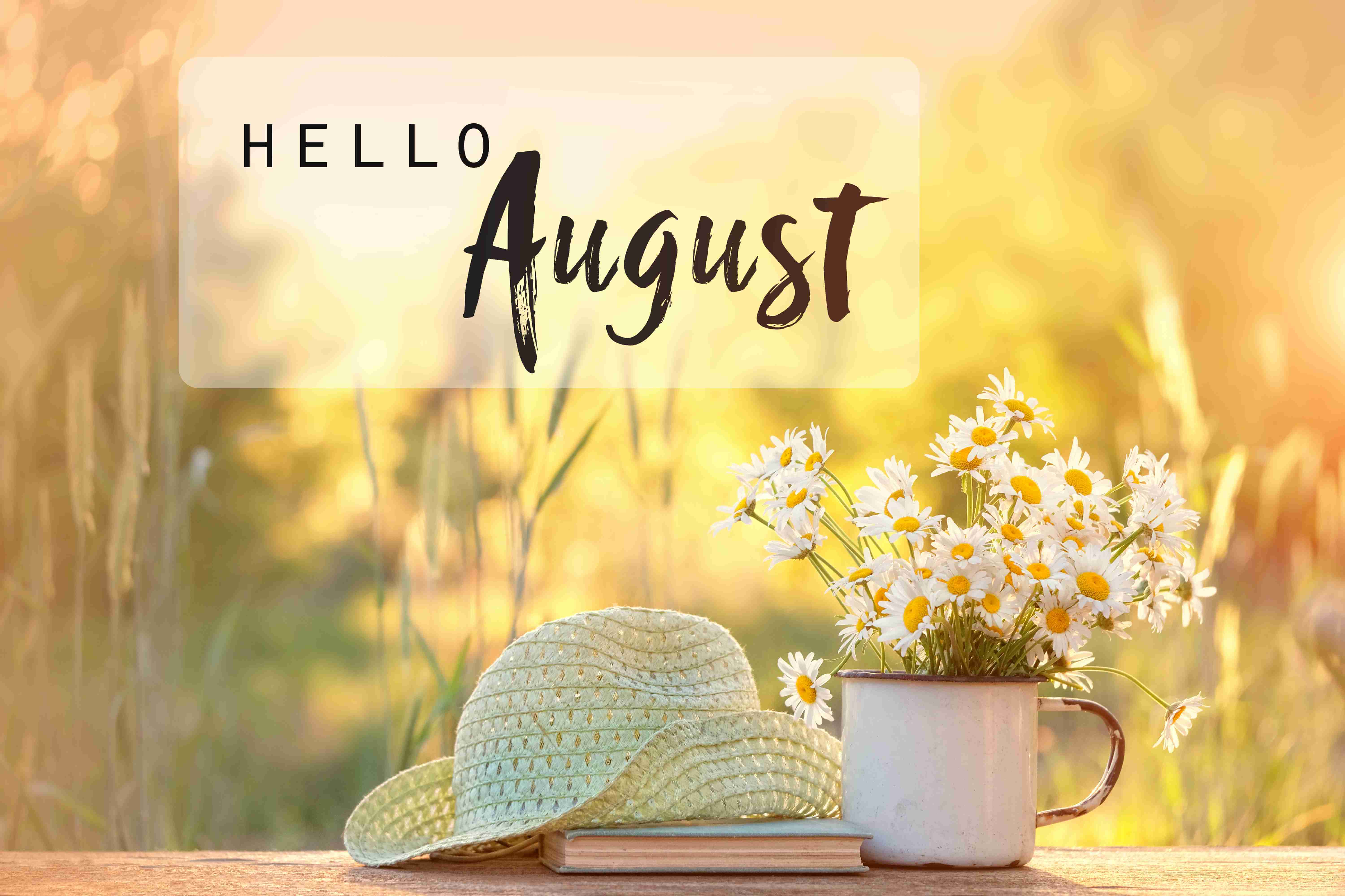 August Background