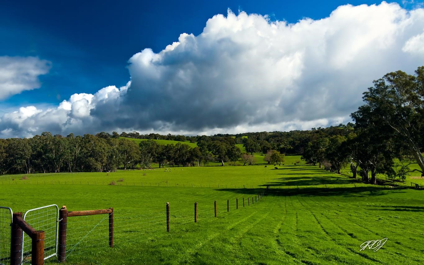 Australian Backgrounds