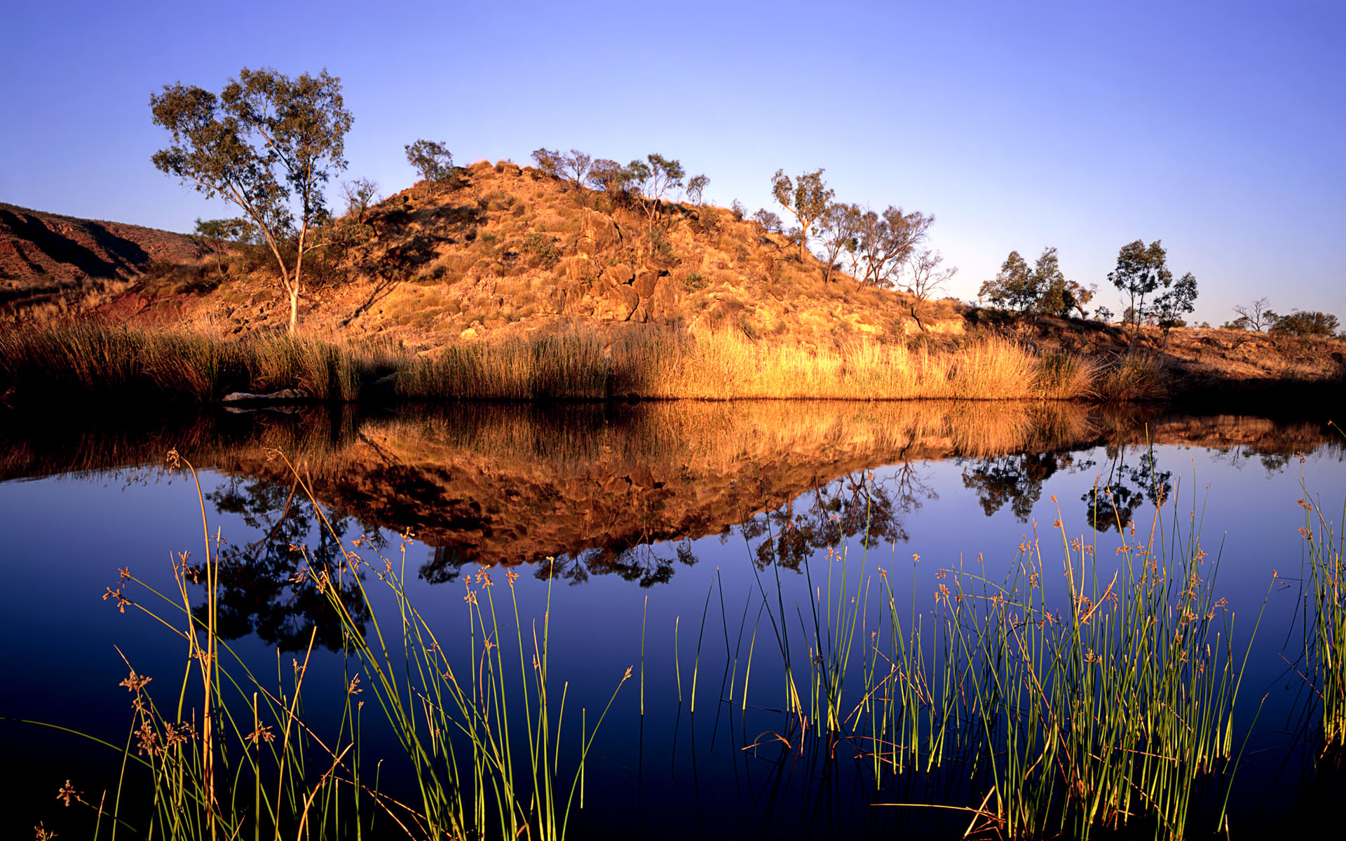 Australian Backgrounds