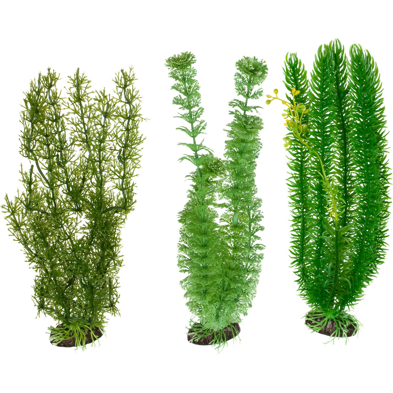 Background Aquarium Plants