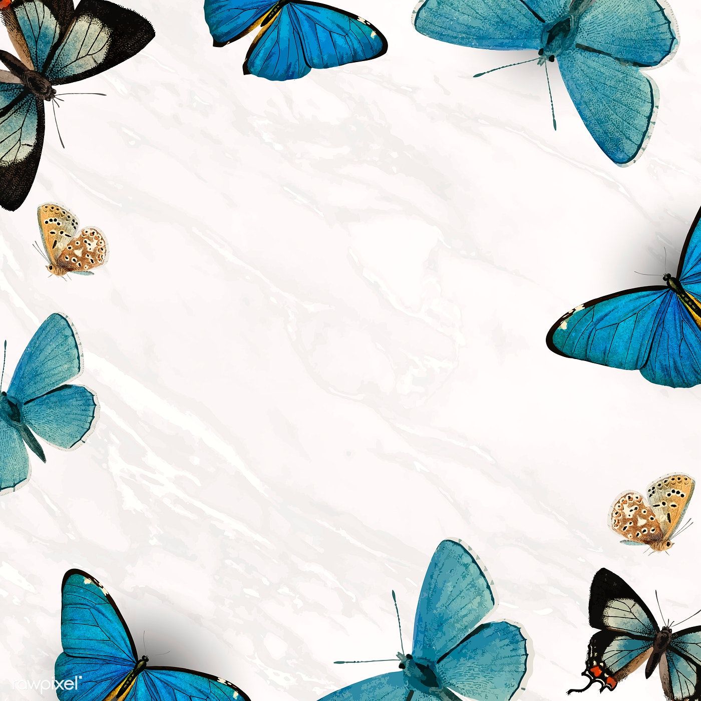 Background Butterfly