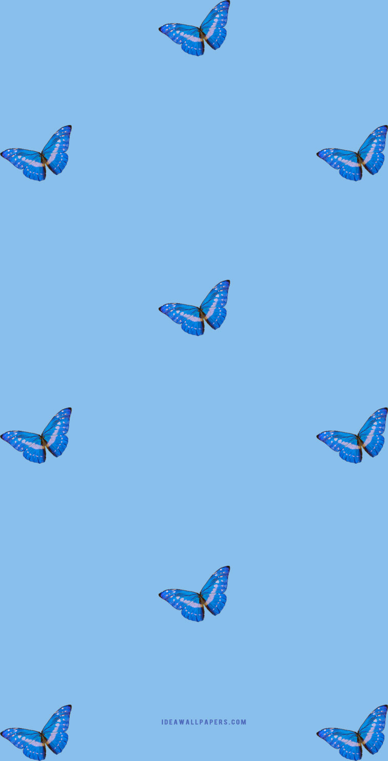 Background Butterfly