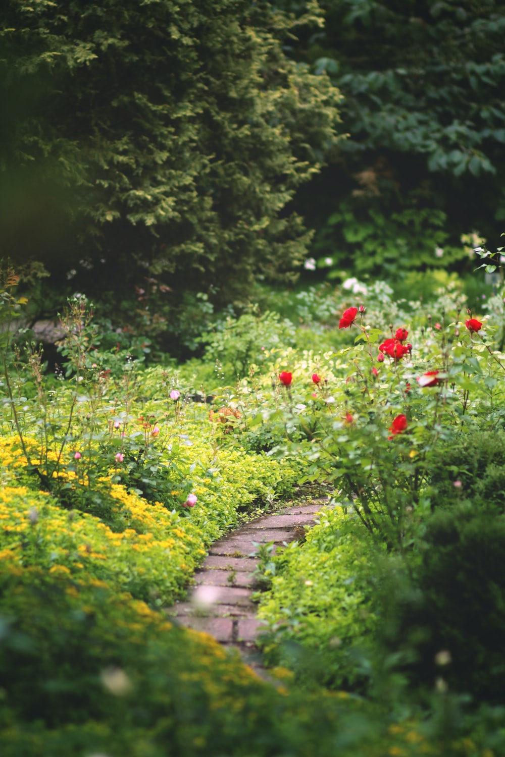 Background Garden