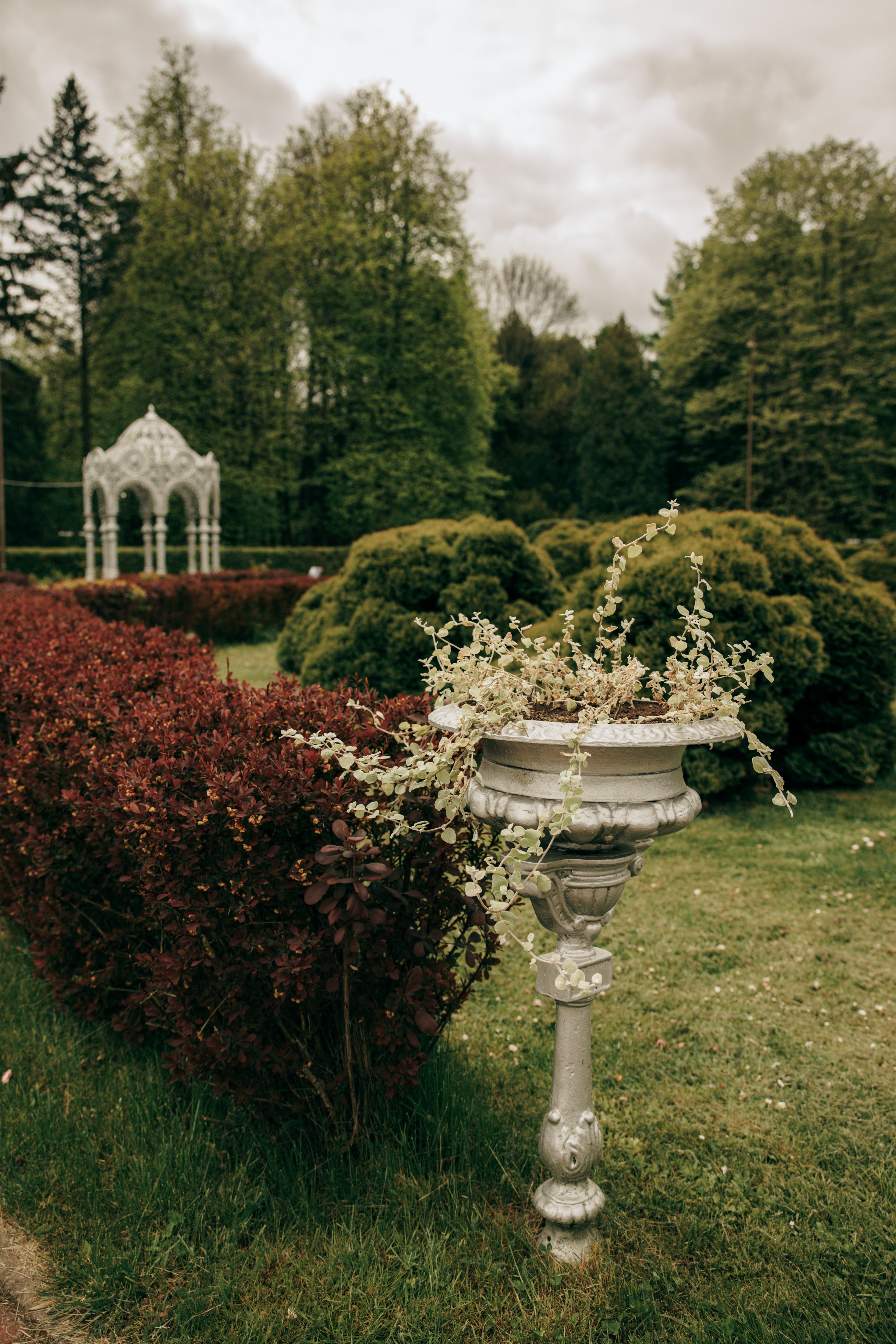 Background Garden