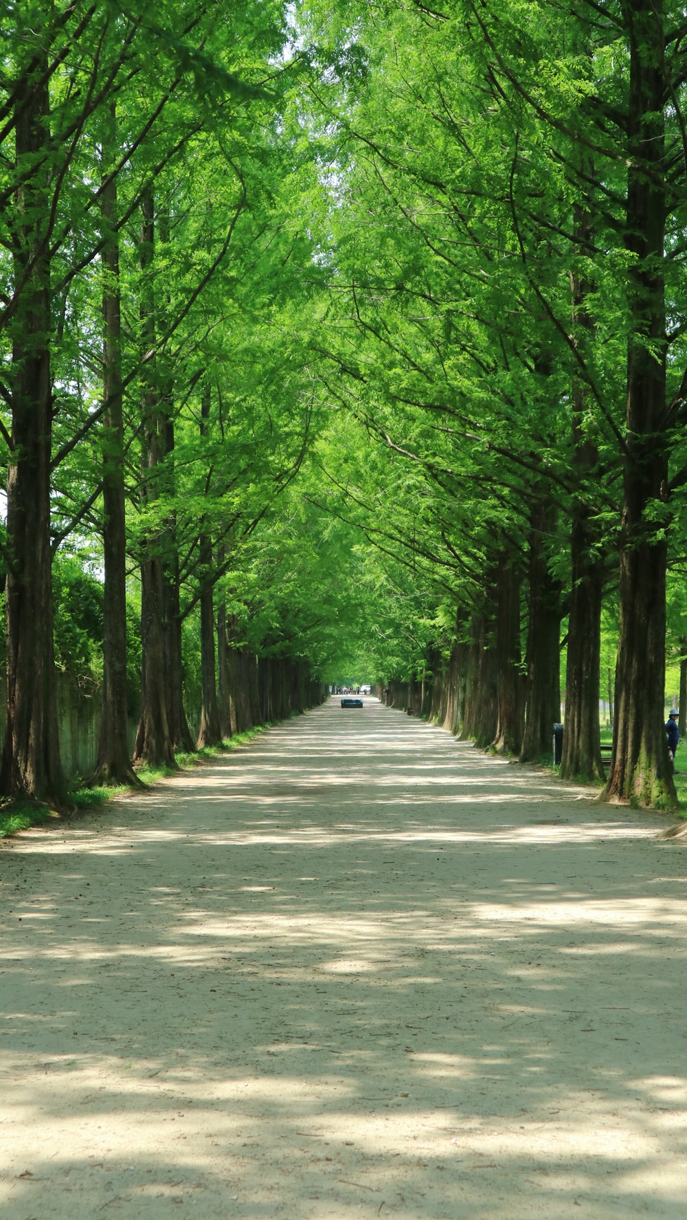 Background Garden