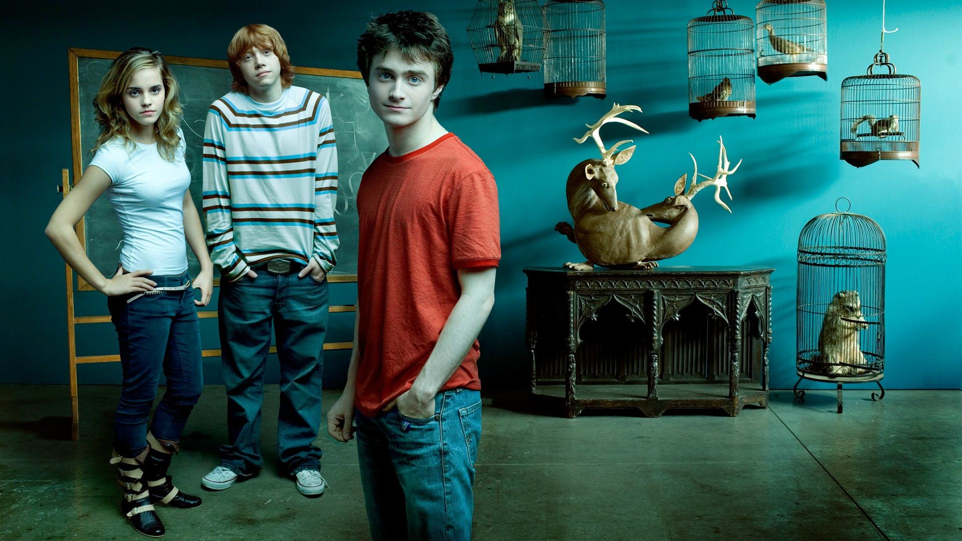 Background Harry Potter