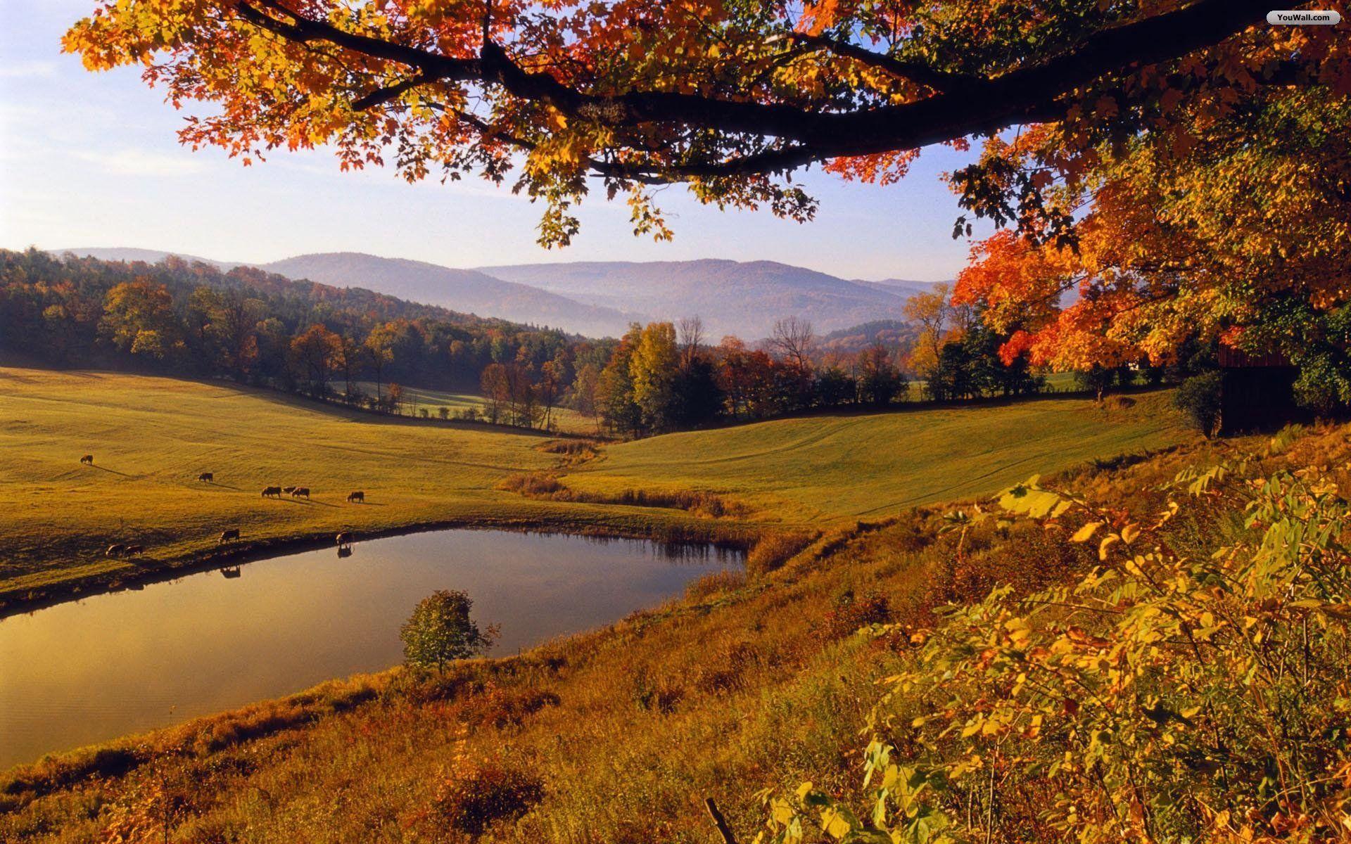 Background Images Landscape Fall