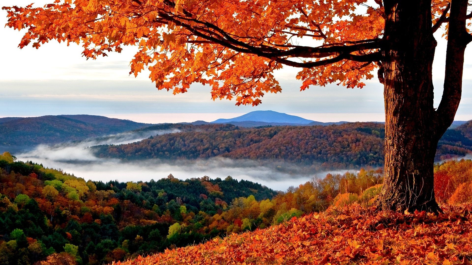 Background Images Landscape Fall