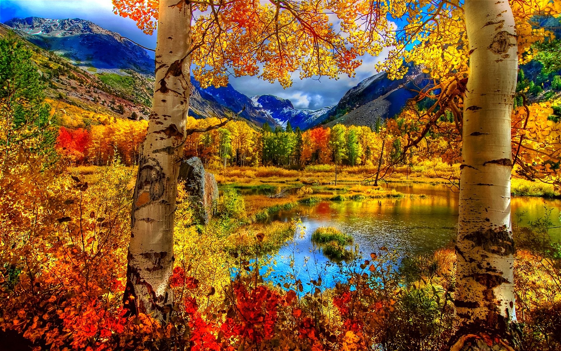 Background Images Landscape Fall