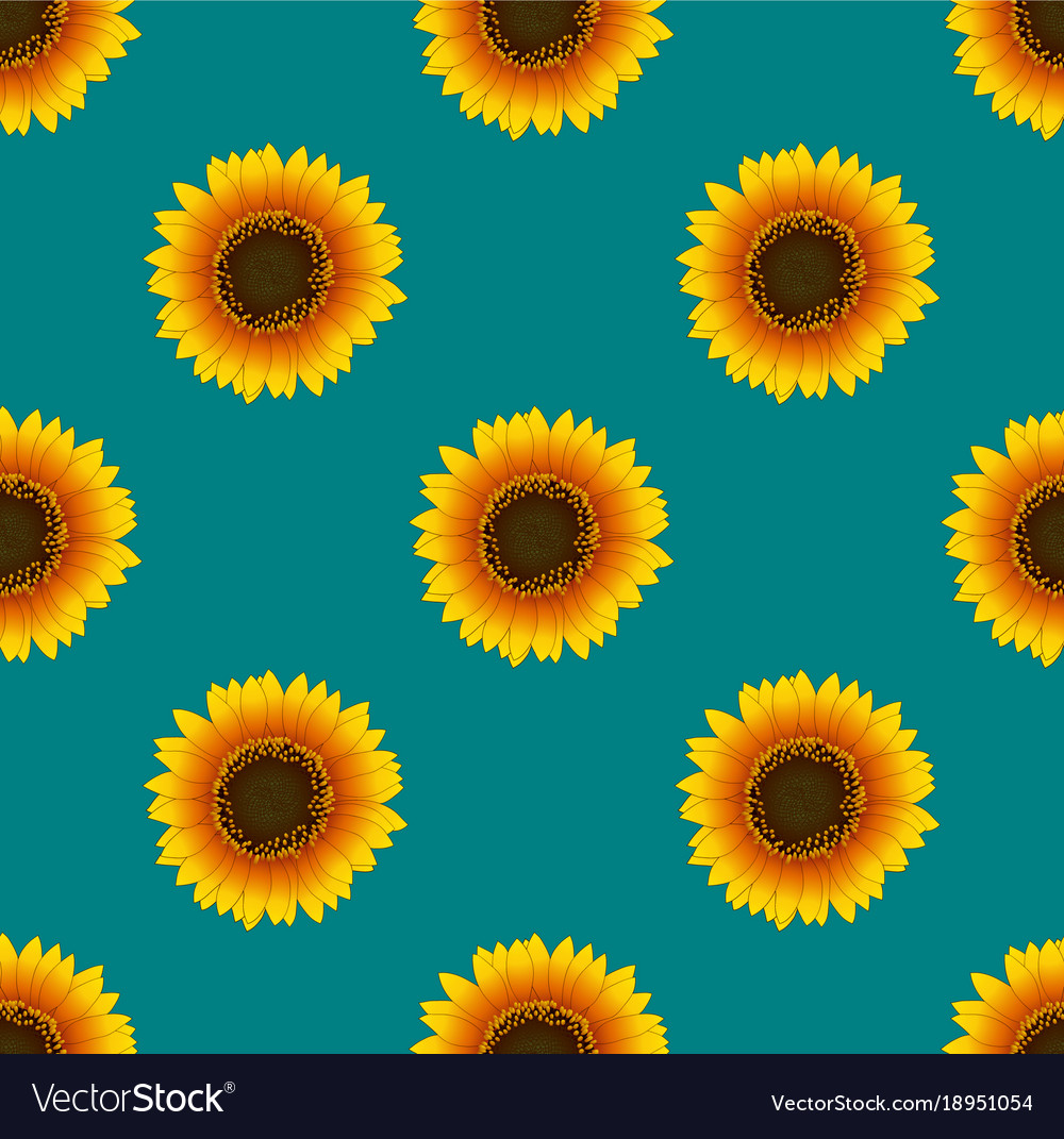 Background Sunflower