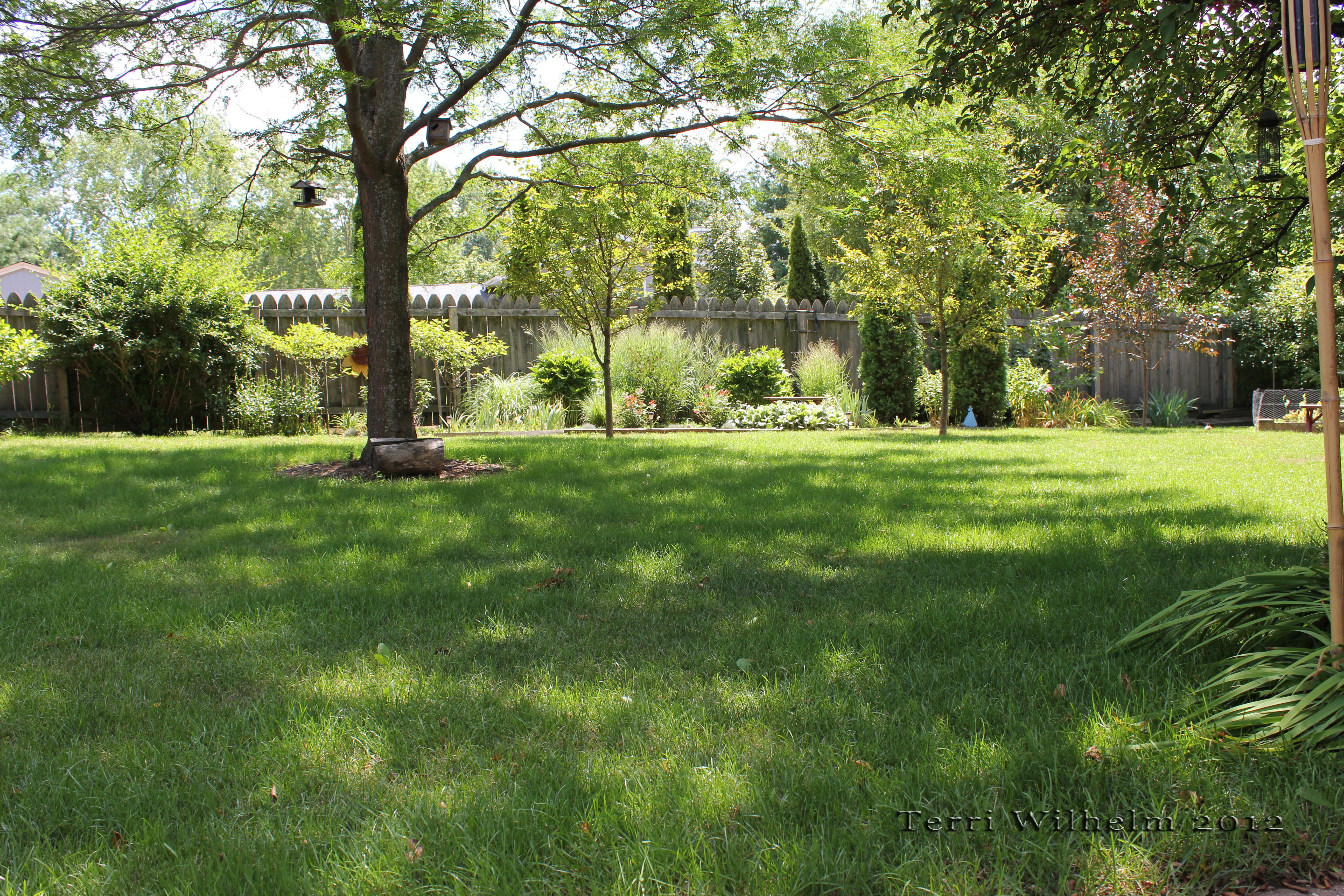 Backyard Backgrounds