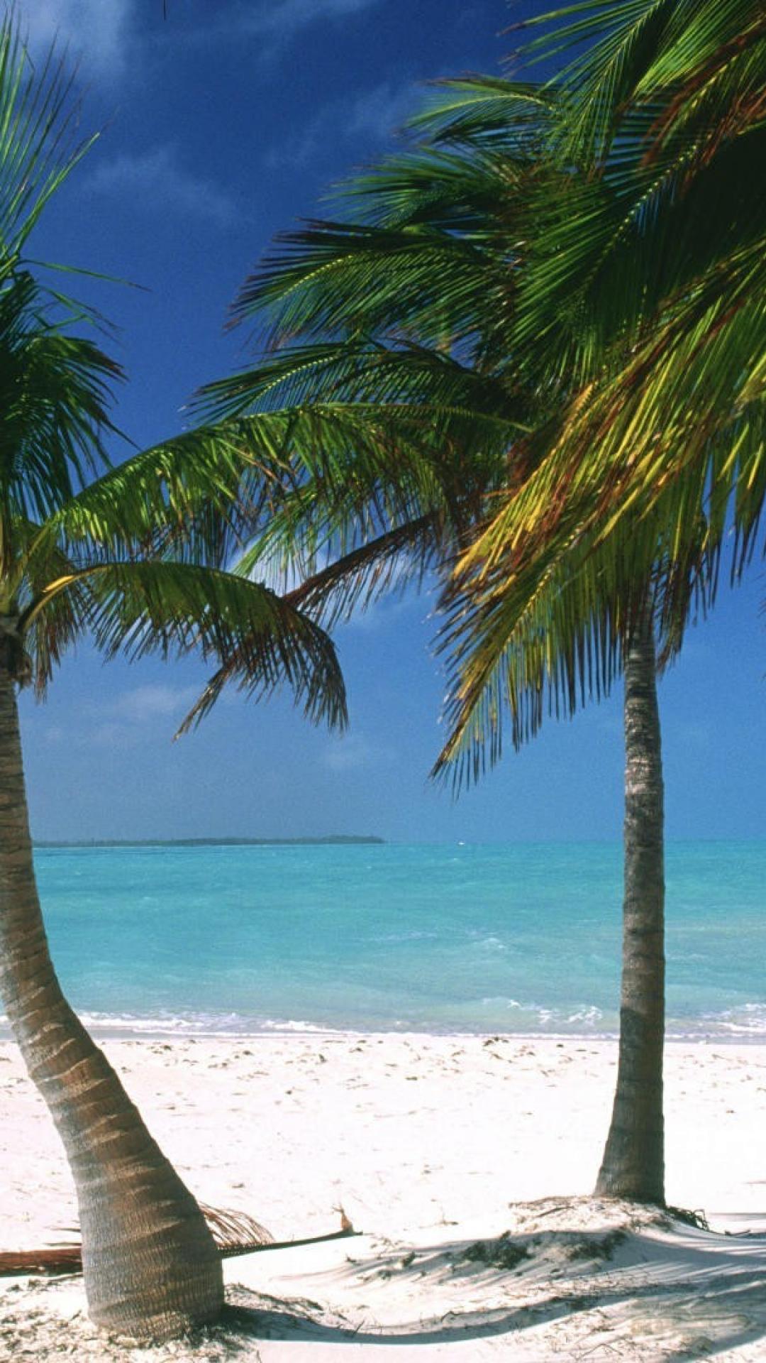 Bahama Background