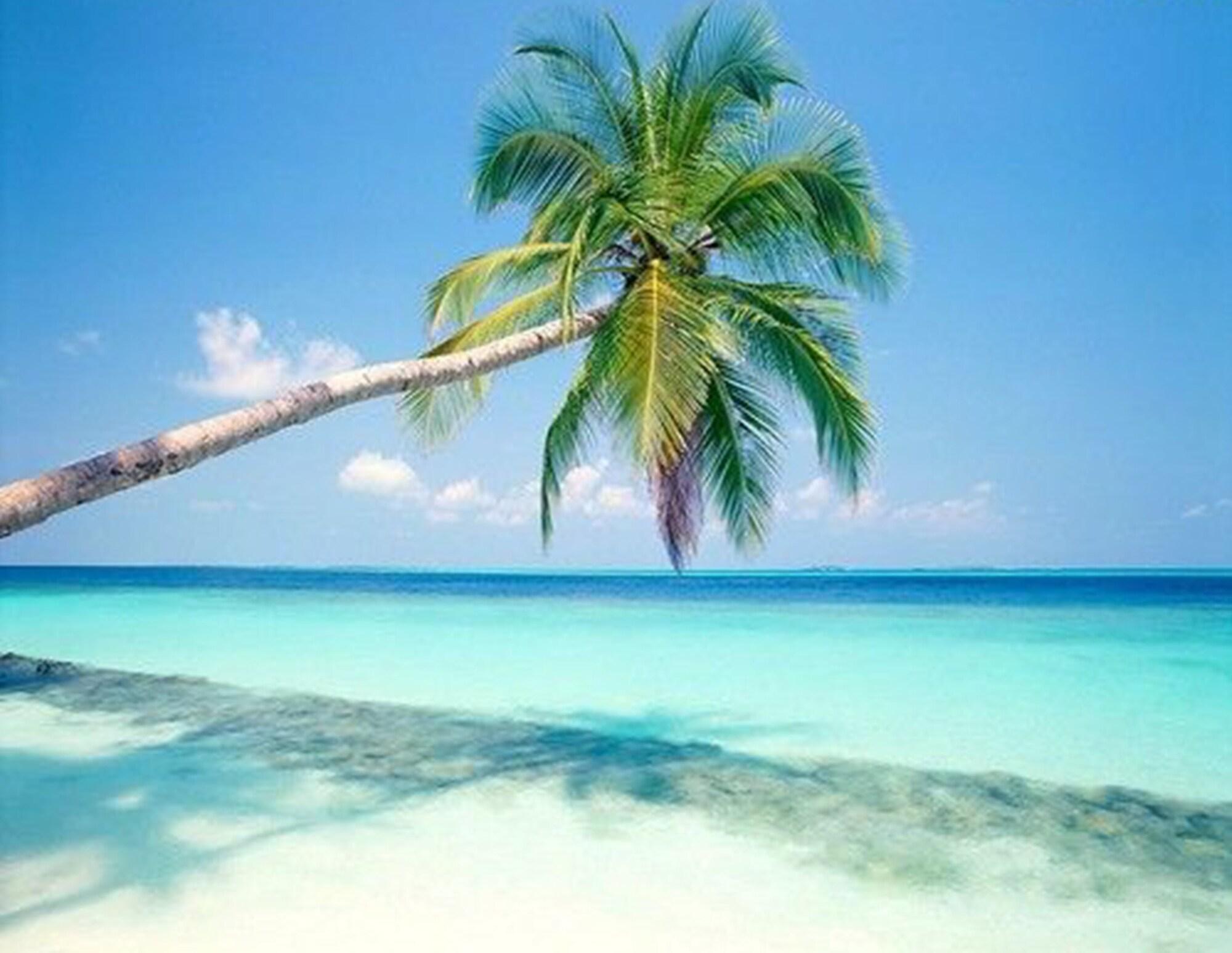 Bahama Background