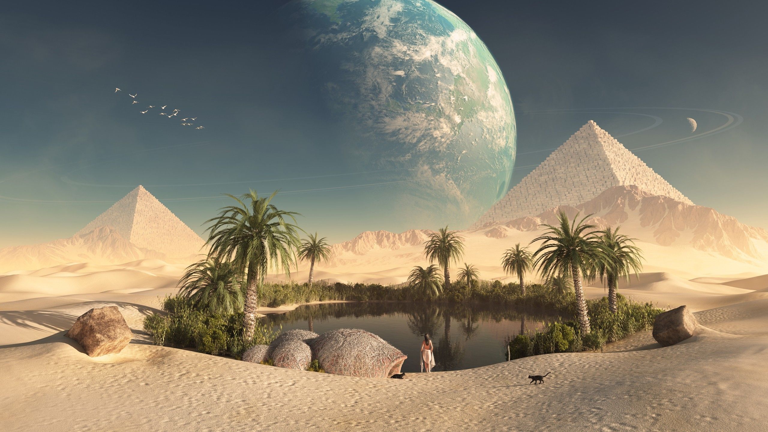 Beautiful Desert Oasis Background