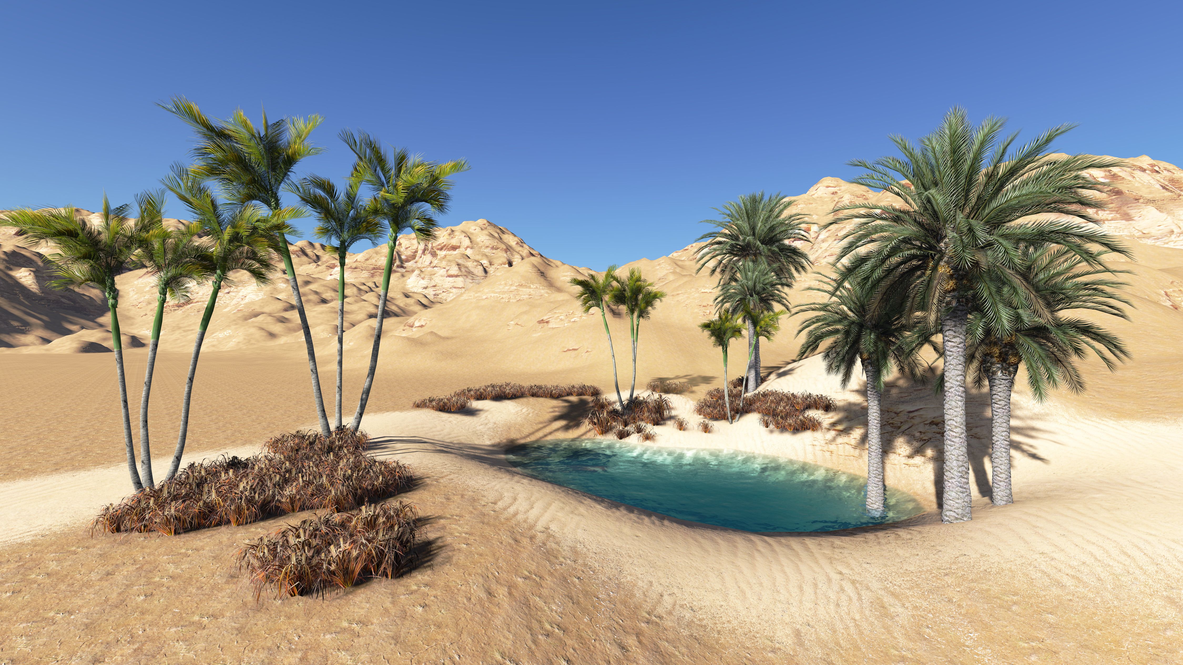 Beautiful Desert Oasis Background