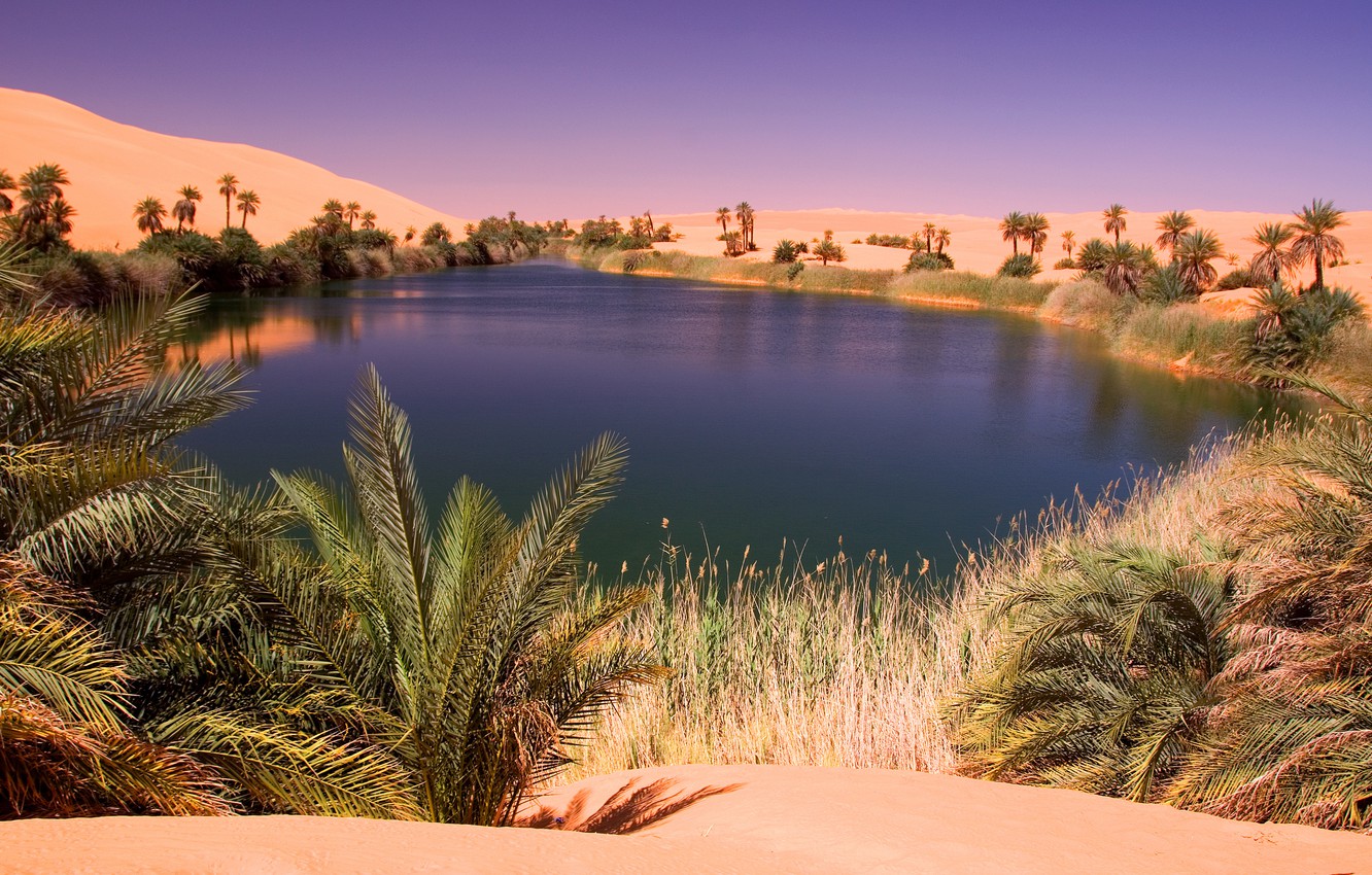 Beautiful Desert Oasis Background