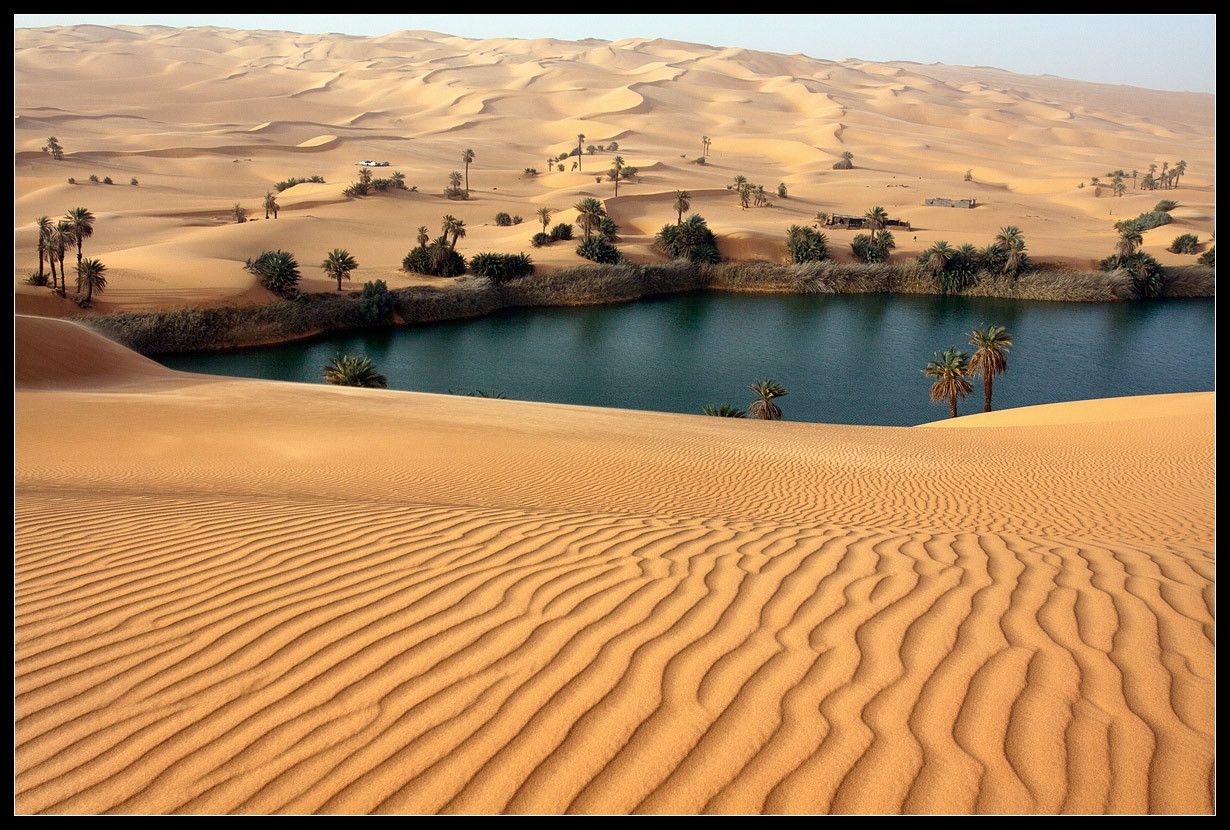 Beautiful Desert Oasis Background