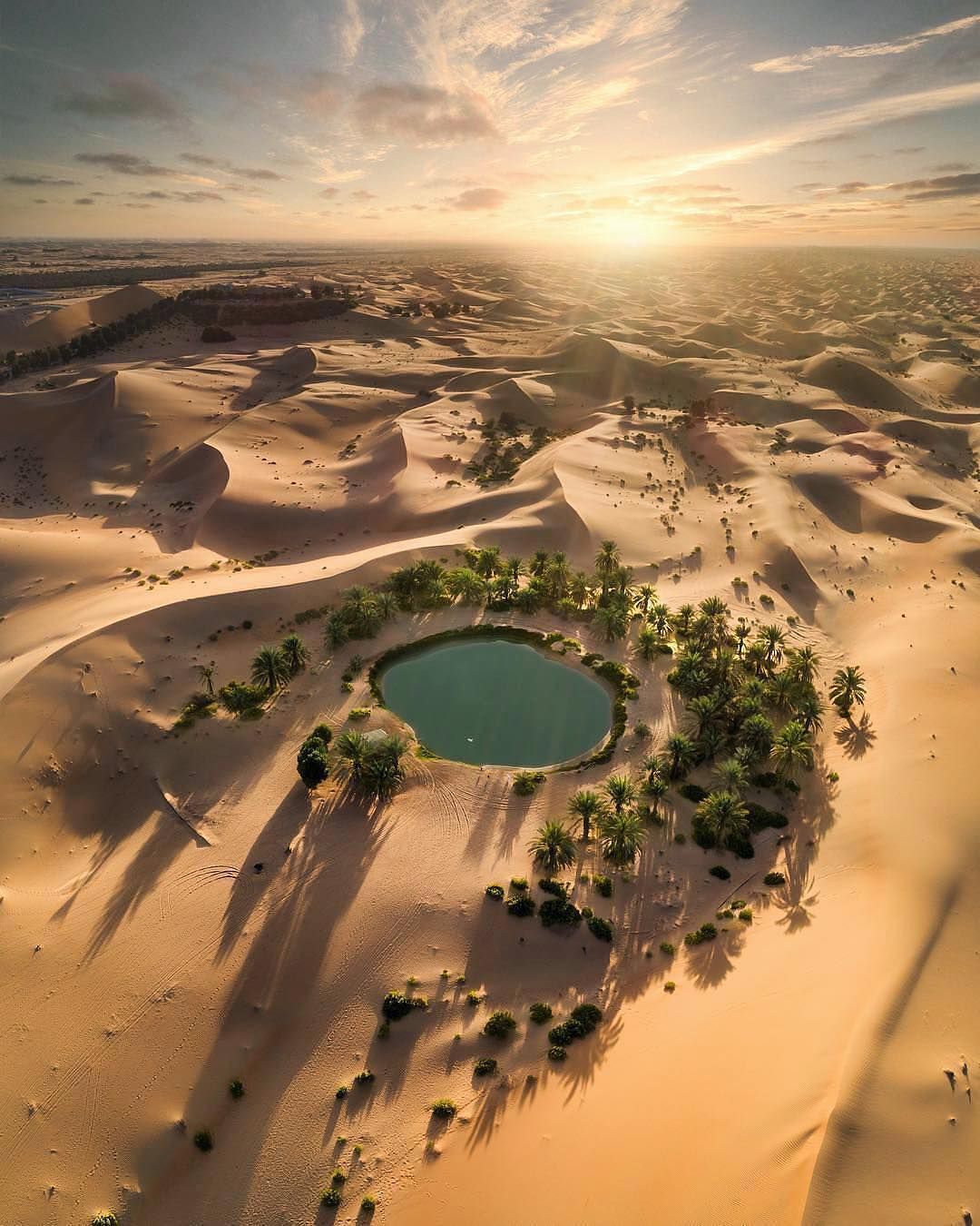 Beautiful Desert Oasis Background