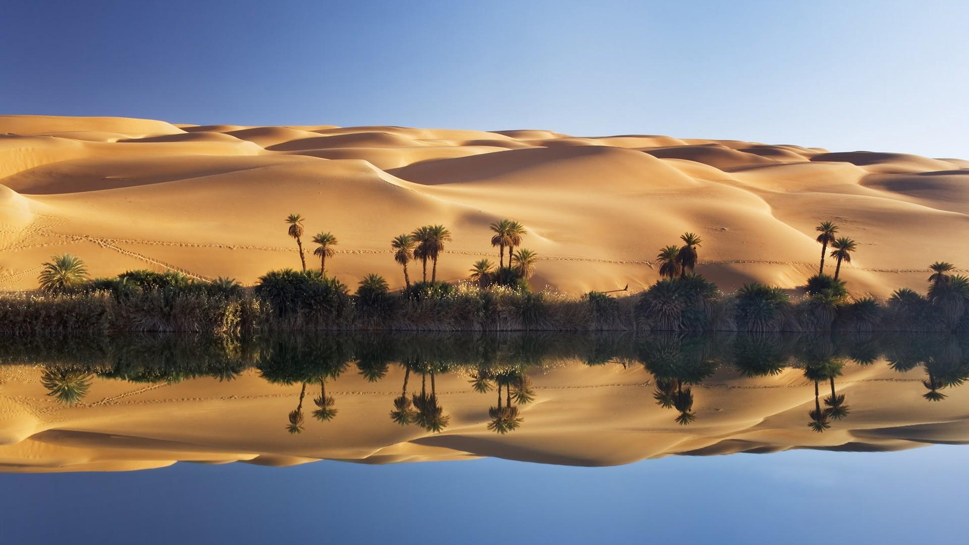 Beautiful Desert Oasis Background