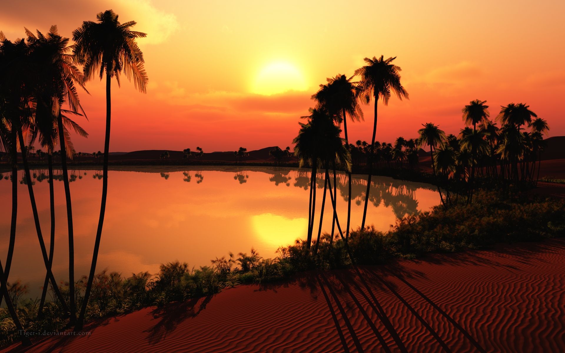 Beautiful Desert Oasis Background