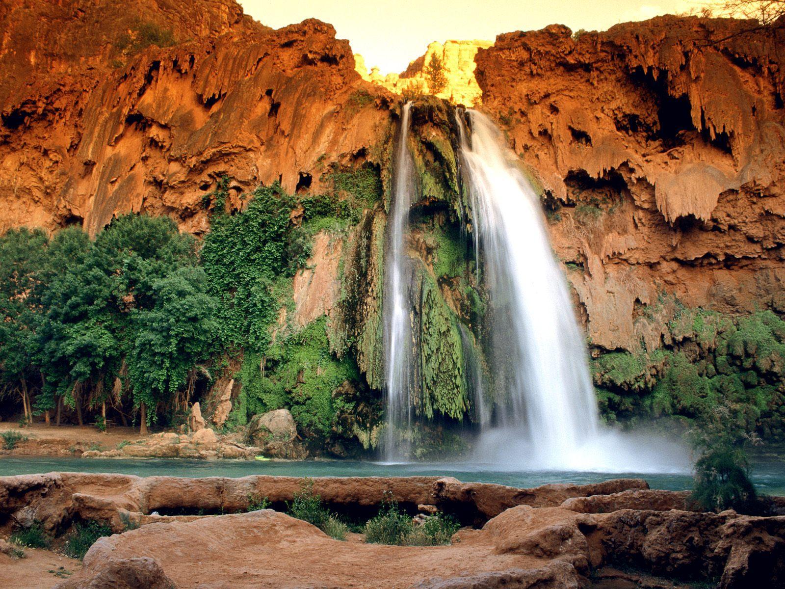 Beautiful Desert Oasis Background