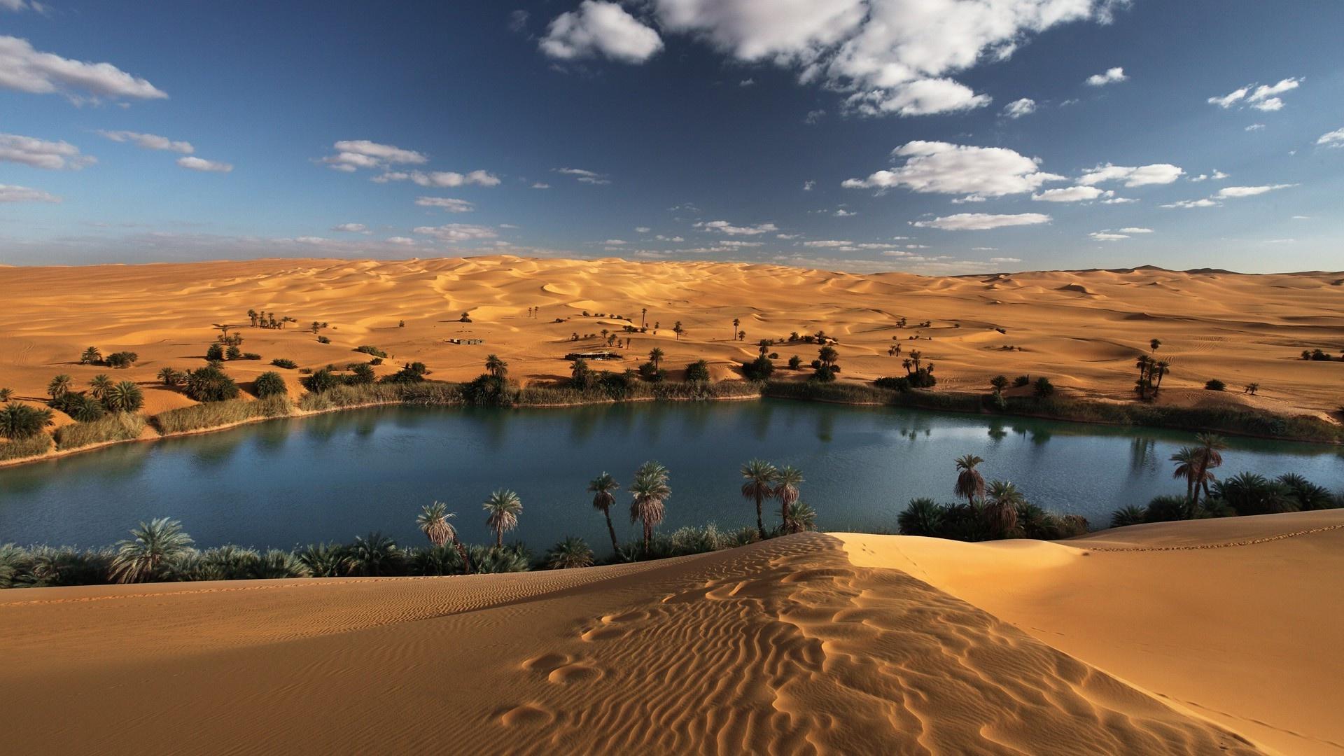 Beautiful Desert Oasis Background